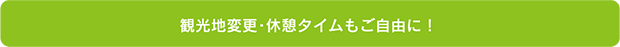 観光地変更・休憩タイムもご自由に！