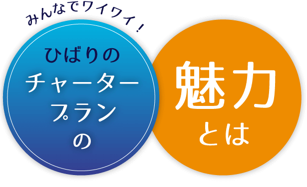 チャータープランの魅力とは